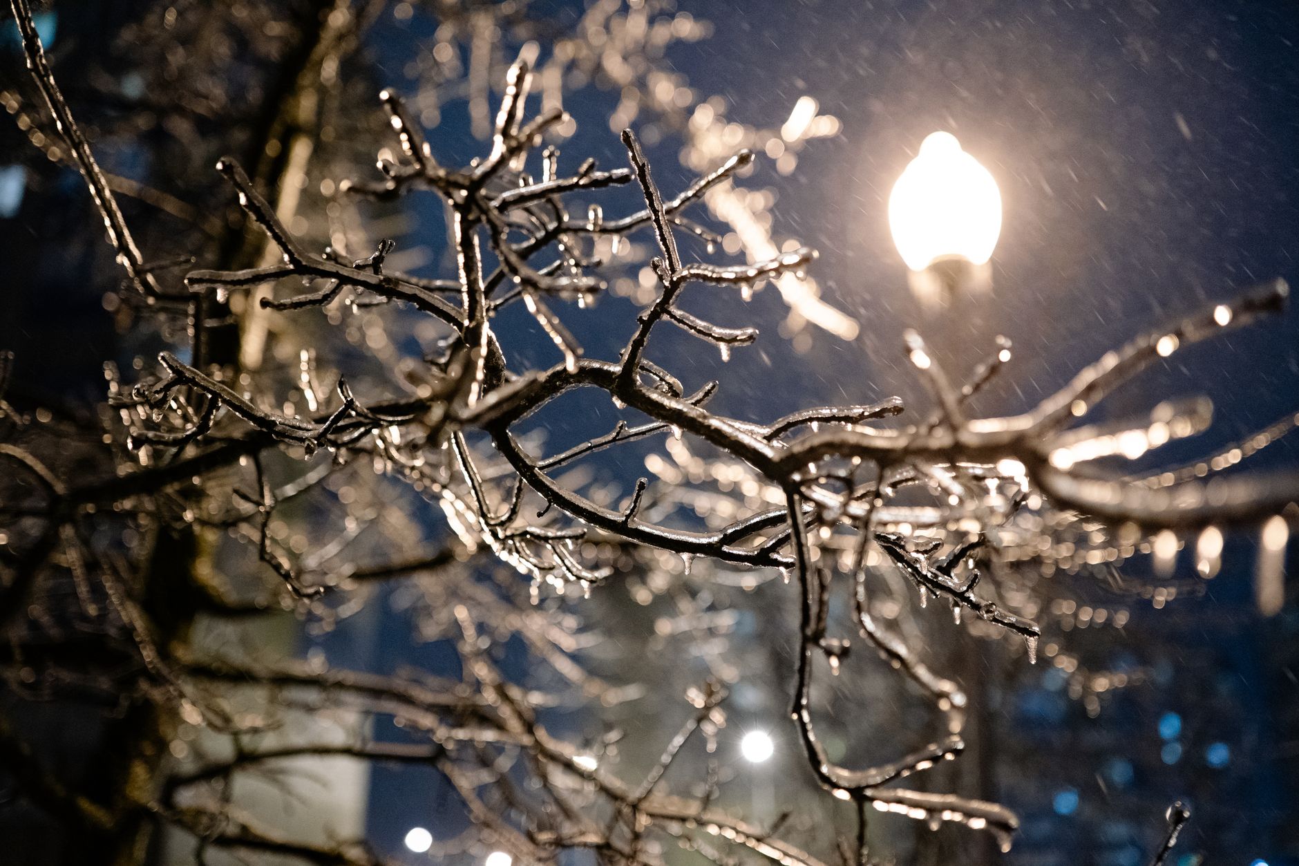 Frost advisory issued for Montreal Saturday night—protect outdoor plants
