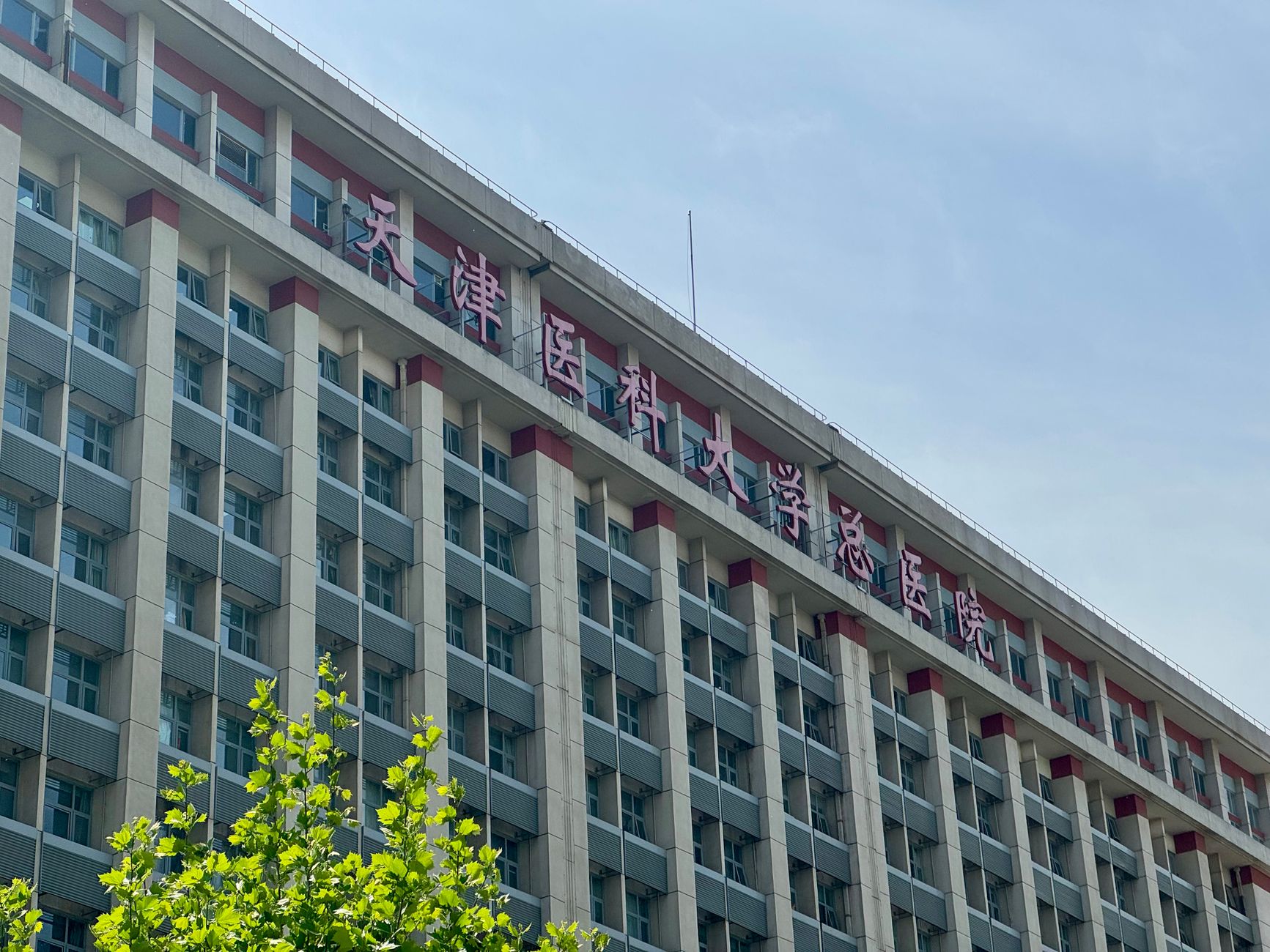 Richmond Hospital debuts eight Chinese-inspired dishes on Planetary Health Menu
