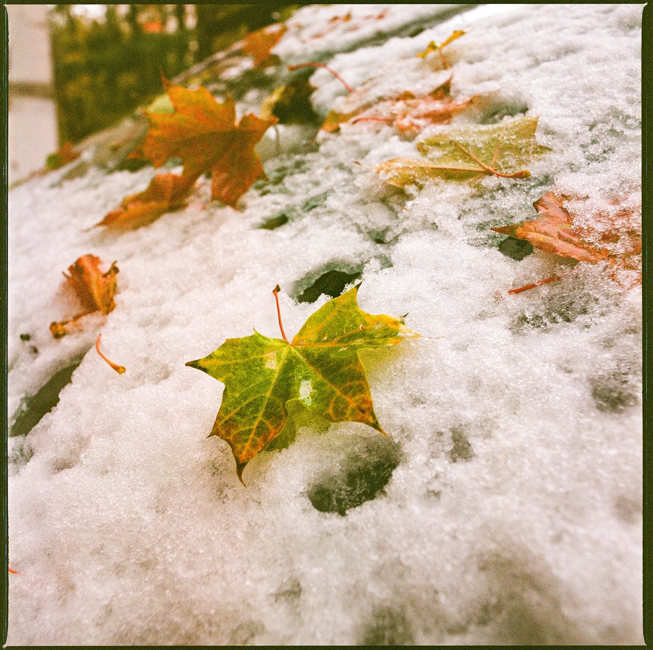 Snow is already falling in parts of Quebec; up to 10 cm this week