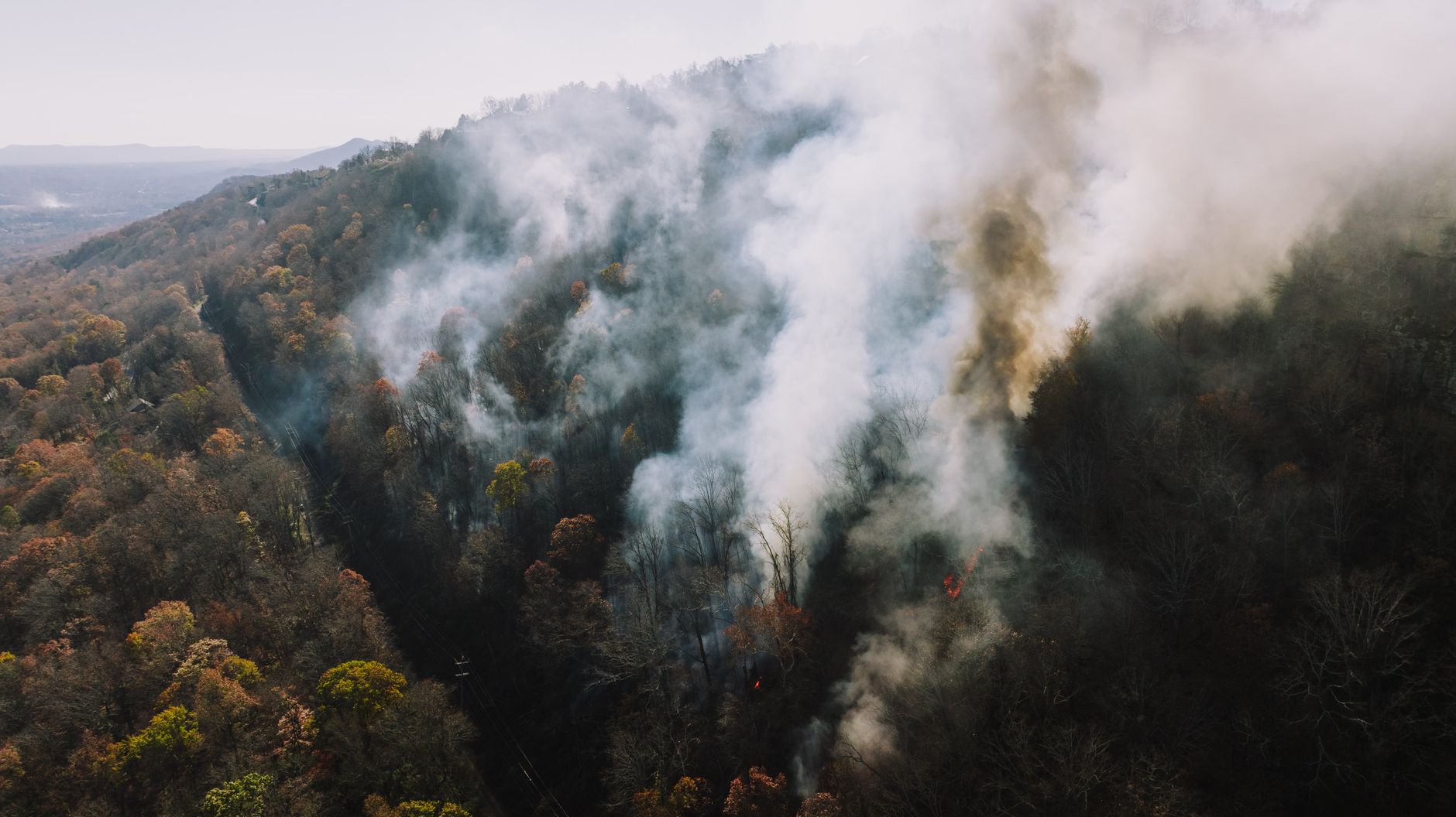 Fast-moving Bald Range wildfire forces all 12,000 Summerland residents to evacuate
