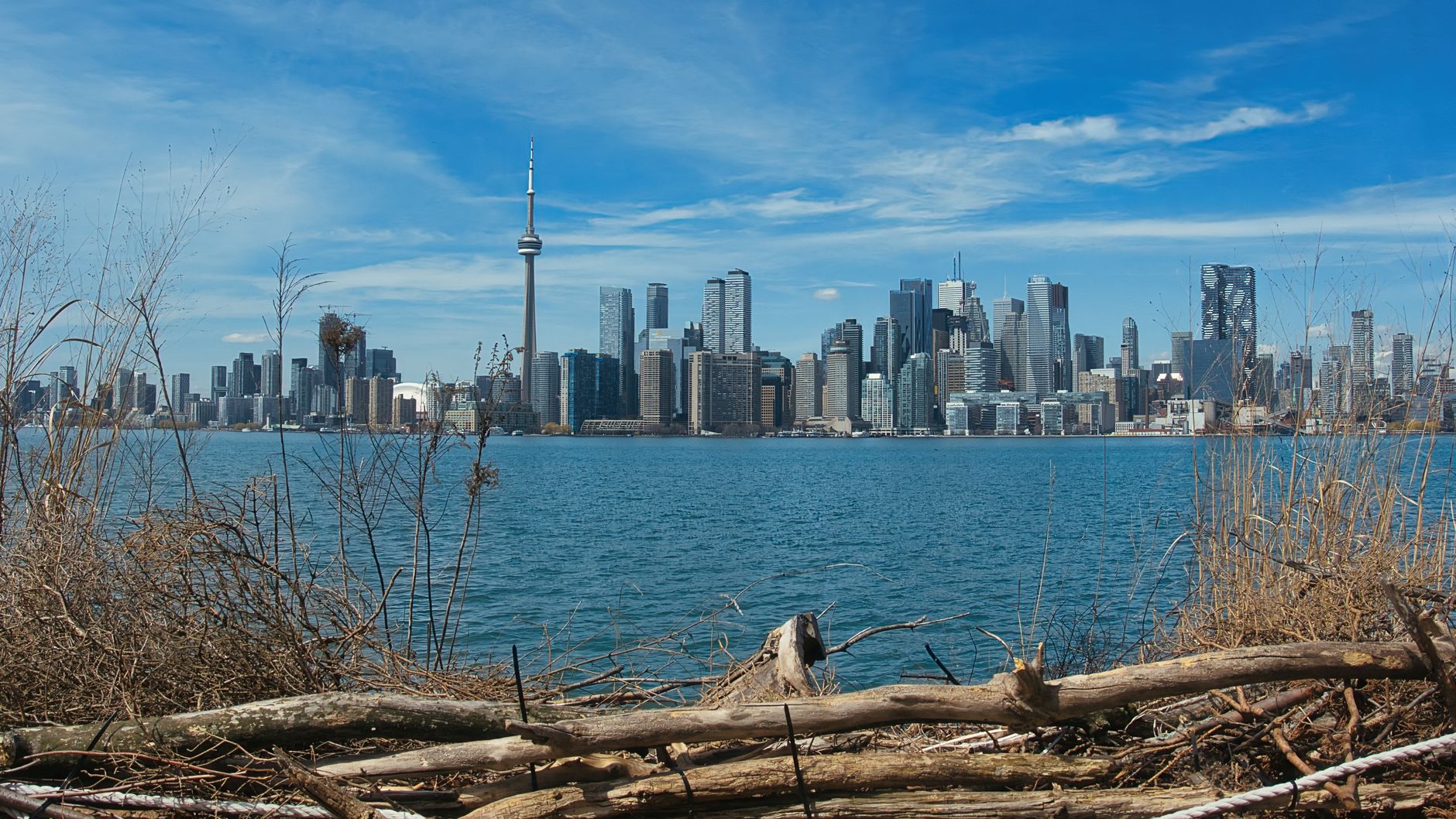 Brad Bradford proposes separating Toronto's operating and capital budgets to cut taxes