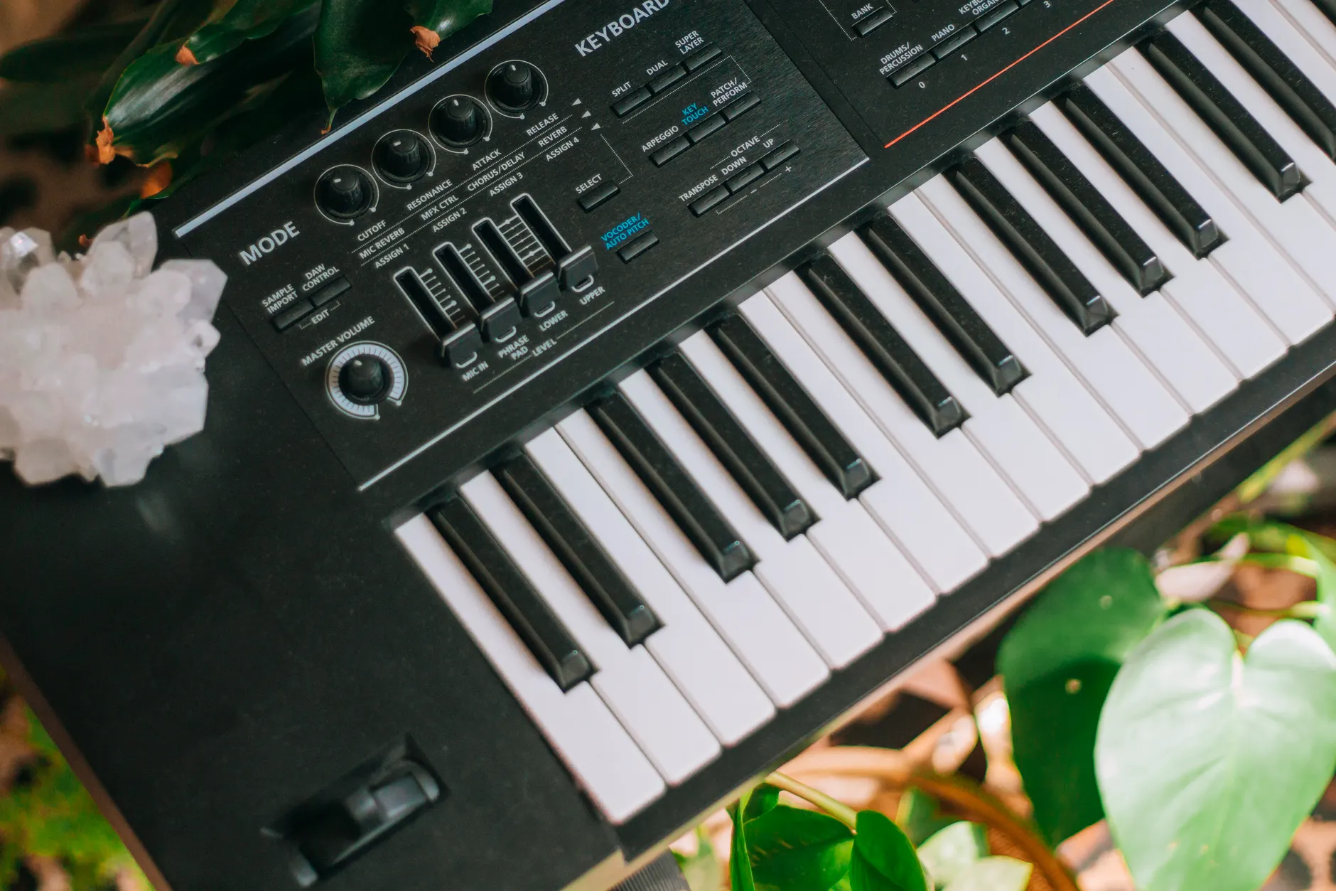 Indian Summer Festival plugs into plants with Modern Biology's live synth performances