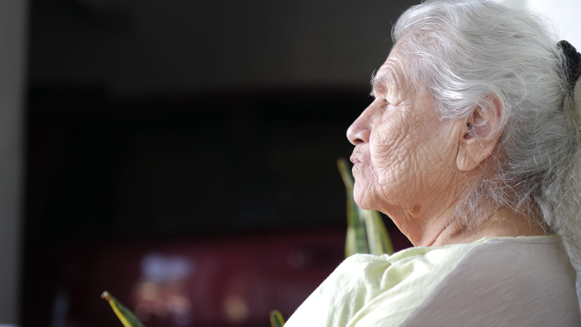 95-year-old resident found dead outside Montreal seniors' home; coroner investigation launched