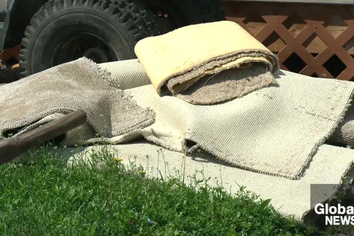 IBC reports $230M in insured damage from Edmonton and surrounding storms