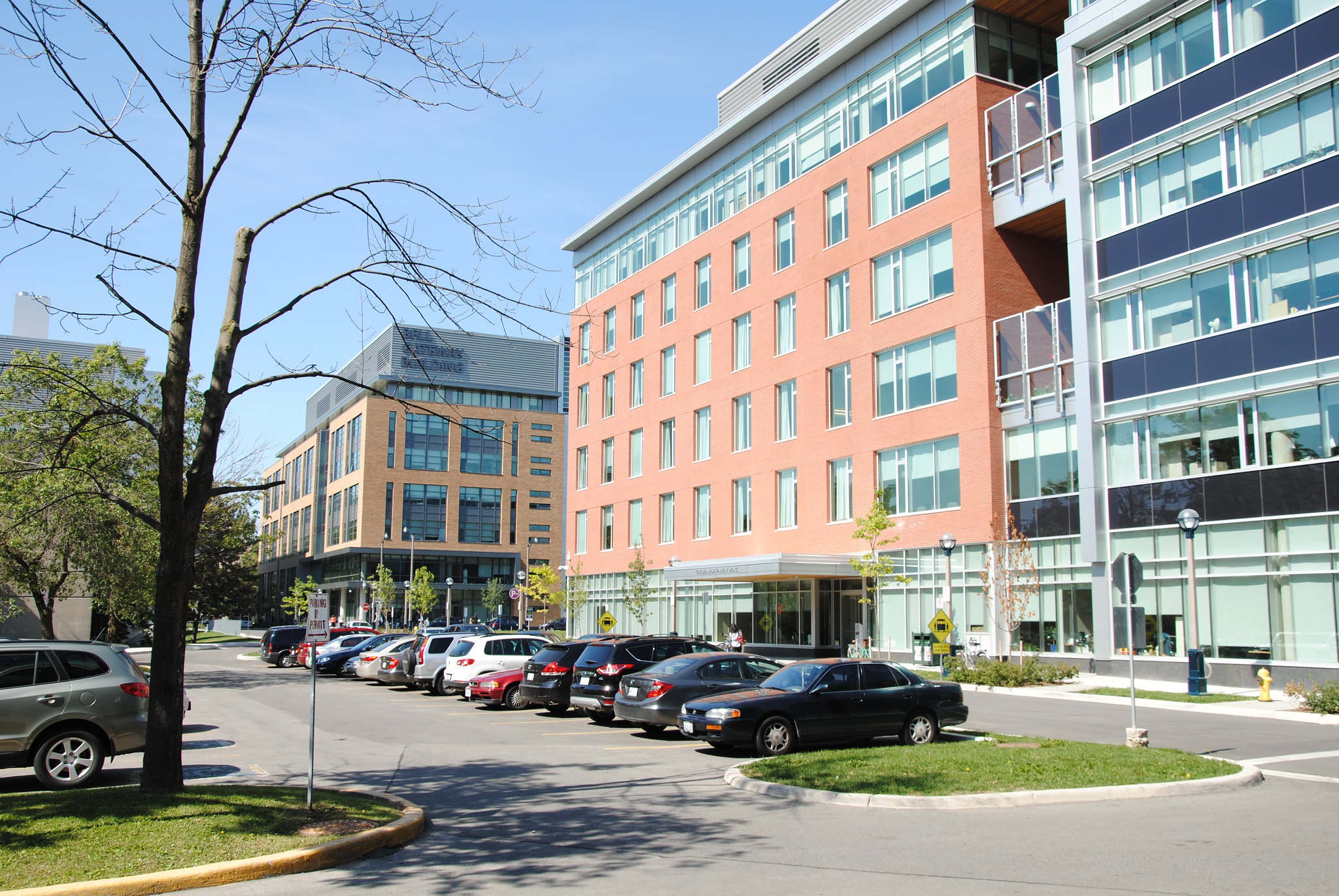 Alcohol kills nine Canadians daily in hospitals, yet treatment remains hard to access