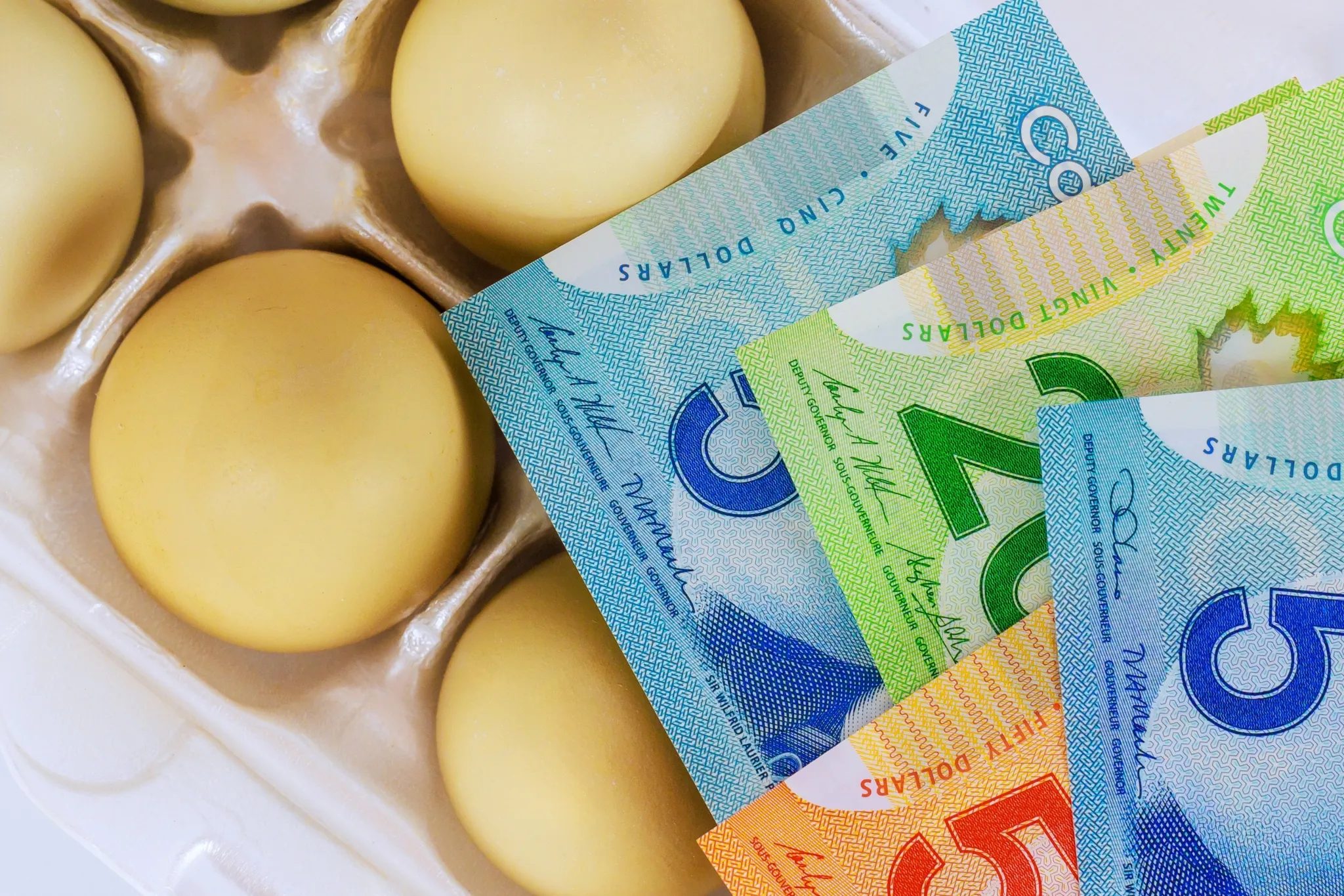 Grocery benefit payments hitting bank accounts Friday for eligible Canadians
