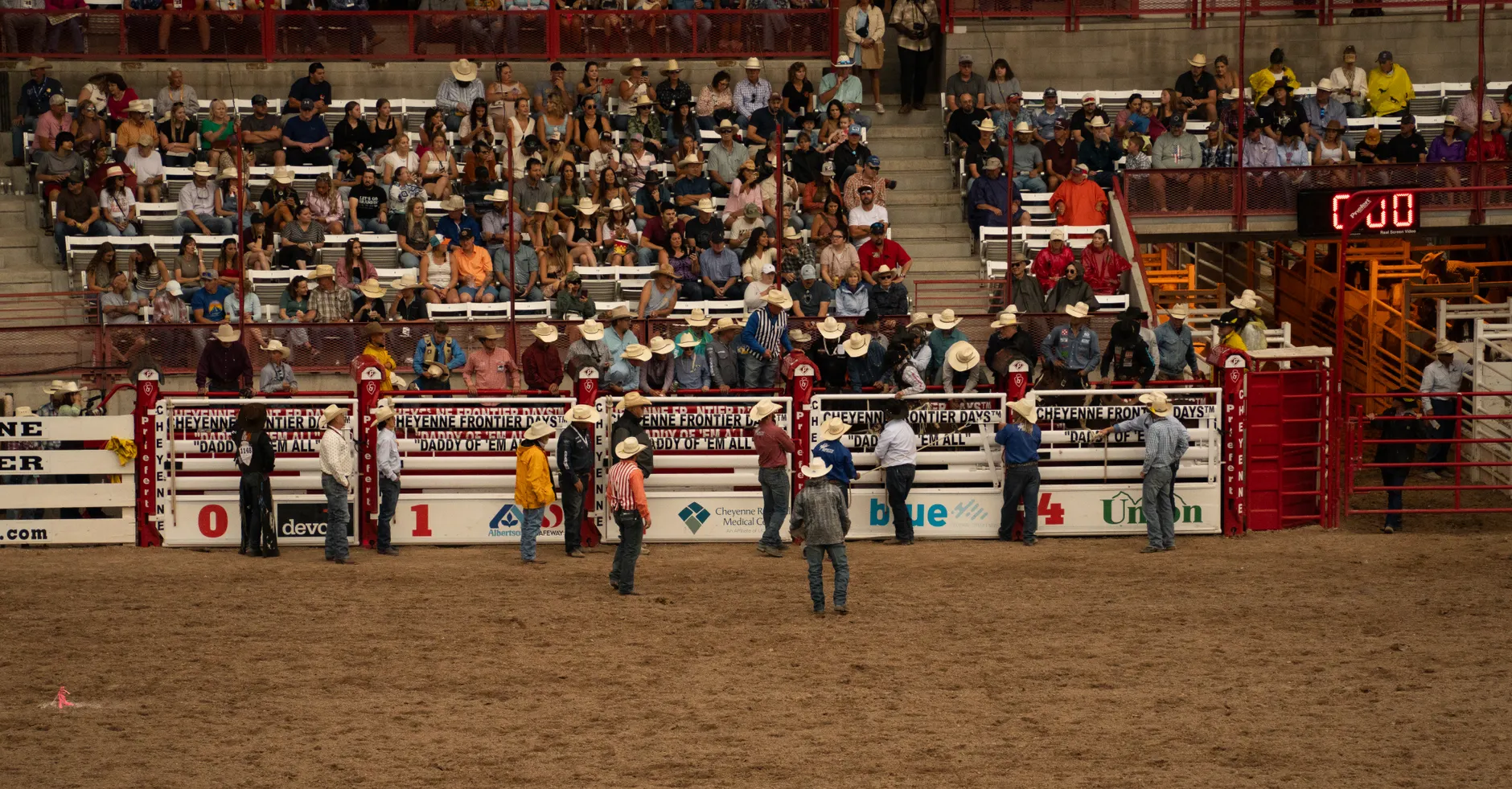 What a B.C. transplant learned from the Calgary Stampede