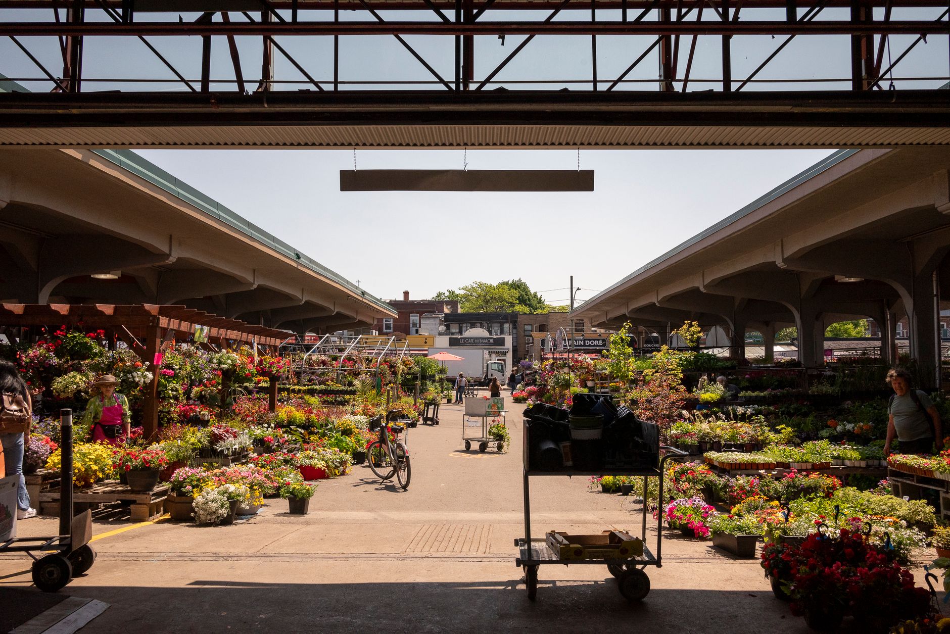 ByWard Market vendors receive breach notices after posting renovation protest posters