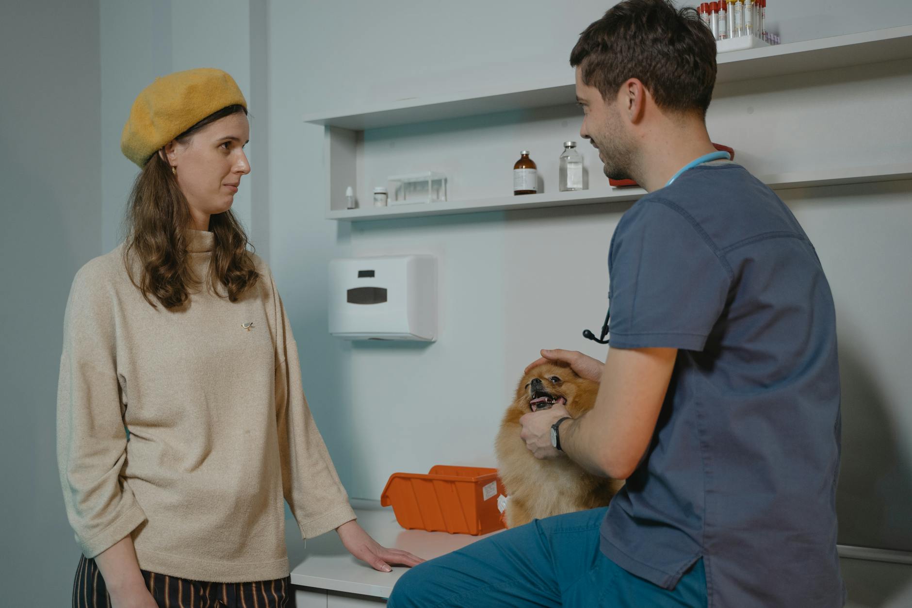 Vets urge pet owners to prepare for B.C. tick season