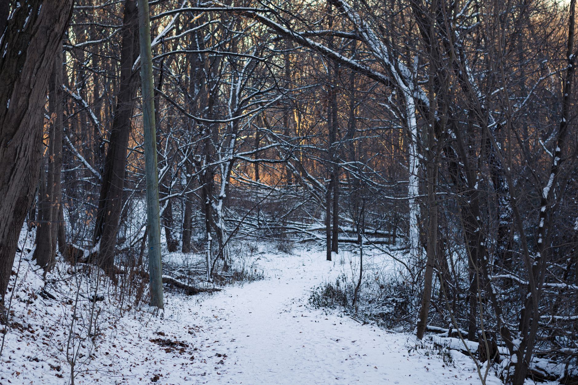 Ontario's December could feel like fall as record El Niño peaks this winter