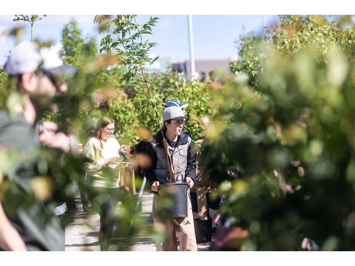 Thousands of trees handed out at city's free giveaway program