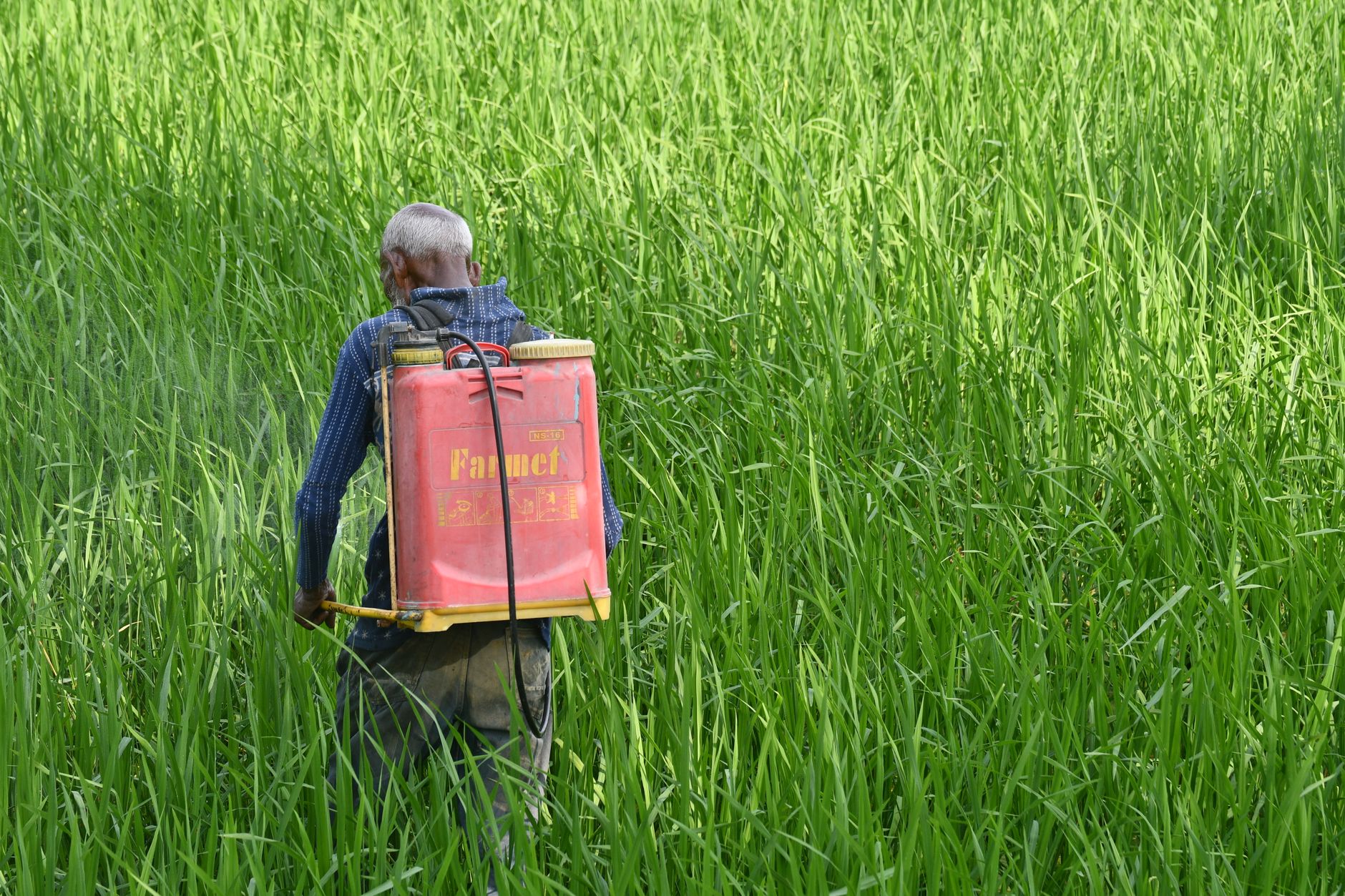 B.C. farmers defy evacuation orders to protect homes and animals from wildfires