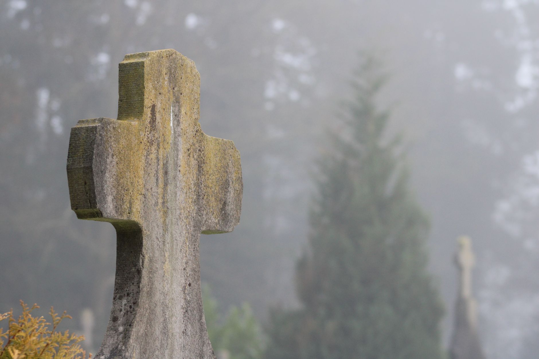 Headstone of Edmonton woman buried in 1932 mysteriously resurfaces in stranger's backyard