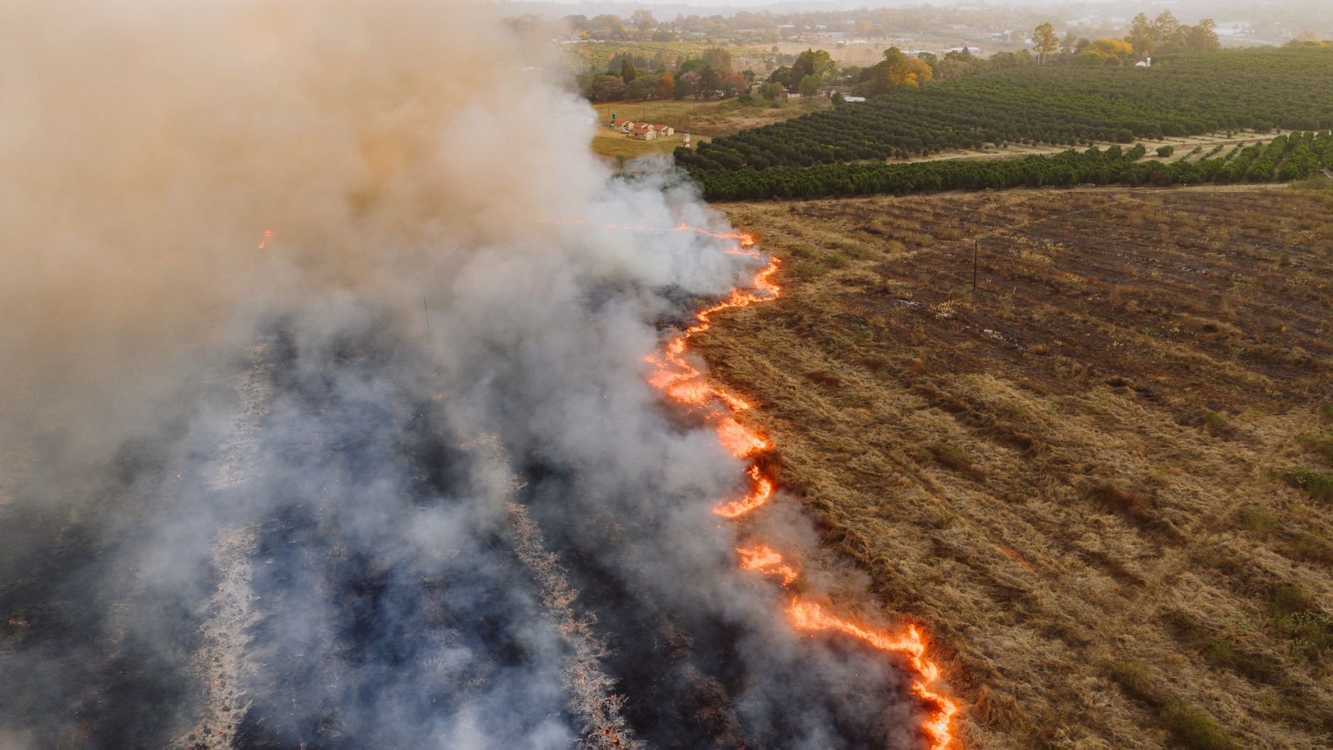 Riley Creek wildfire south of Lillooet holds at 3,799 hectares; crews battle terrain hazards