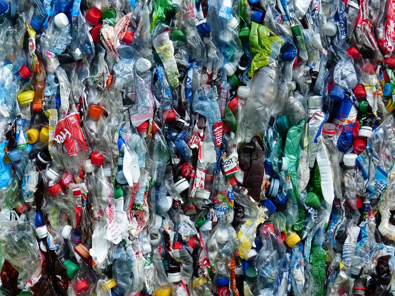 Your garbage collection fees could rise nearly $6 by 2030, city report shows