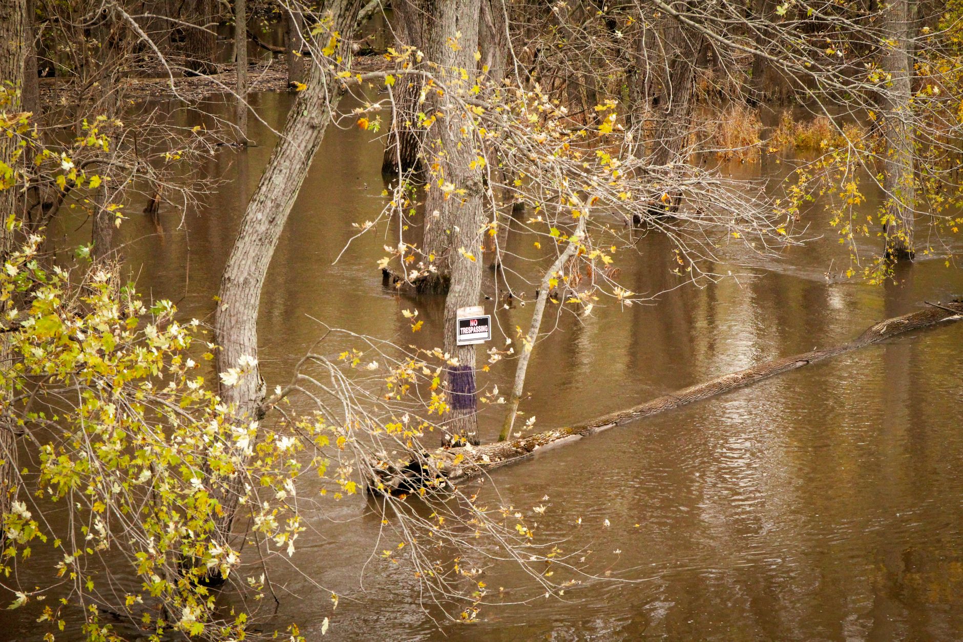 Toronto and region face fall flooding risks as tropical storms move north