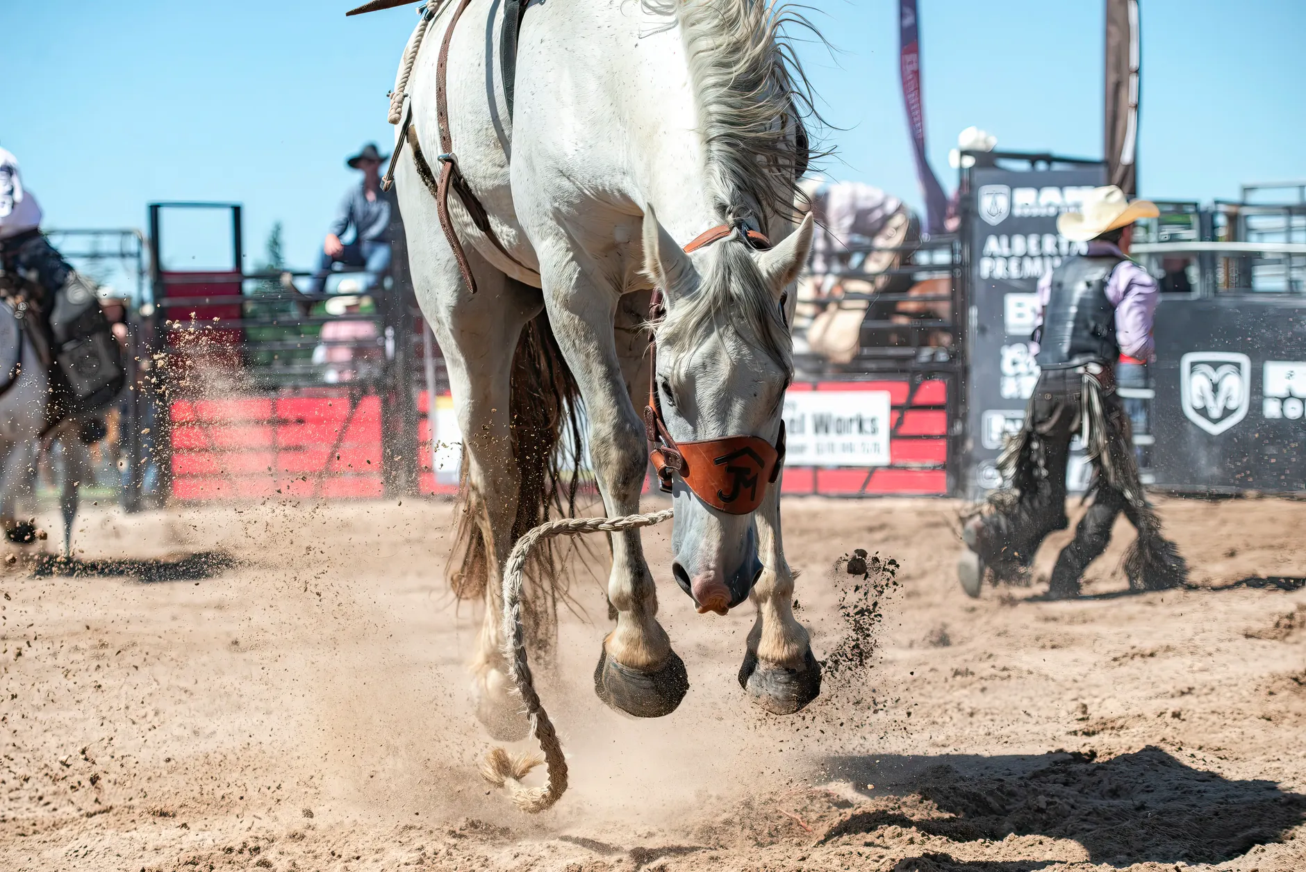 The man who built the Calgary Stampede — and the lawsuit that followed