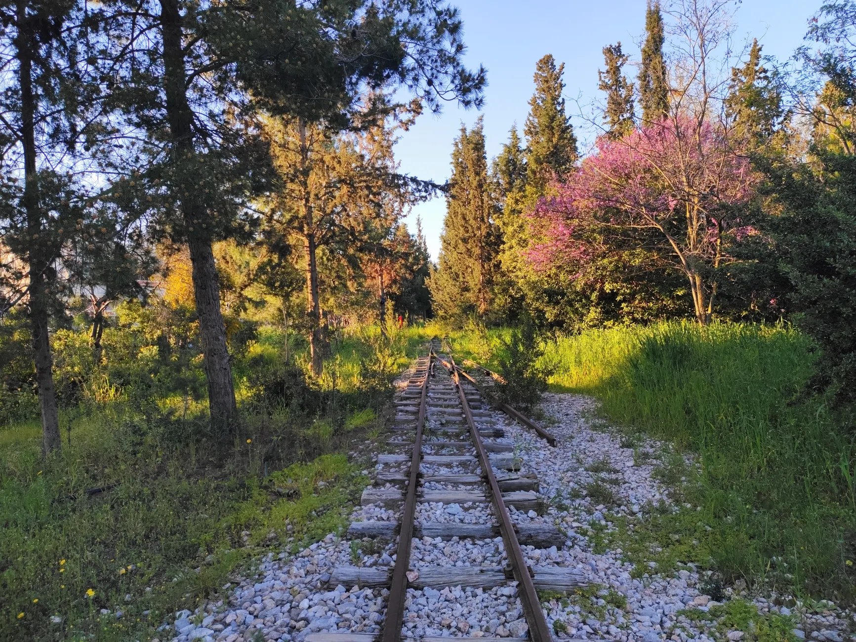 Abandoned railway corridor becoming 51-km regional trail