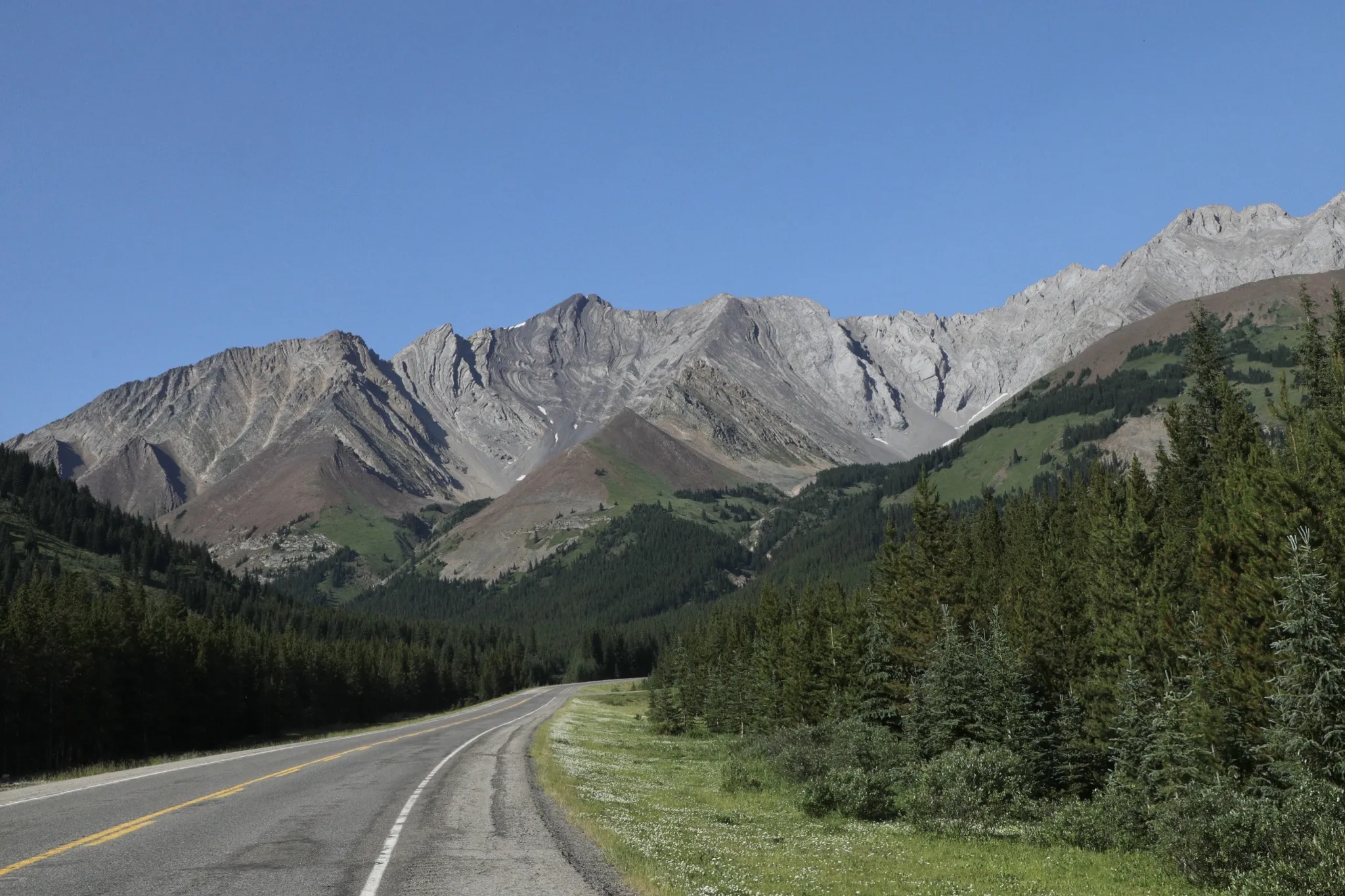 Peter Lougheed Park has roots deeper than you think