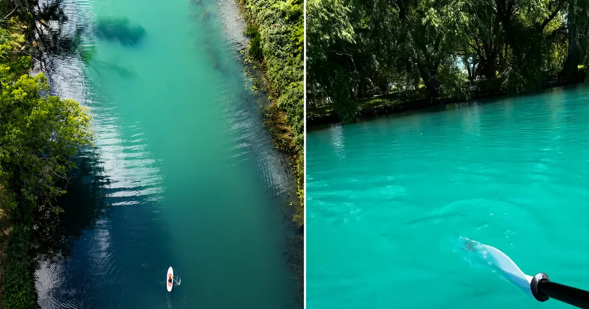 Chenail Ecarté: Ontario's Hidden Tropical River