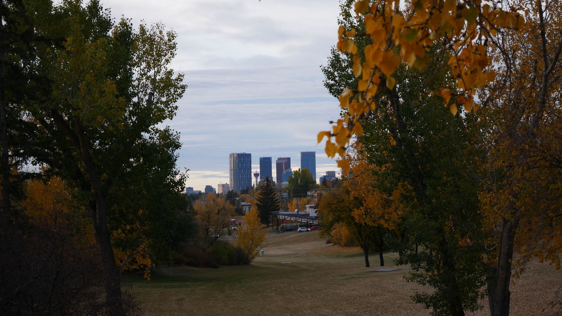 NDP wins Calgary-Shaw byelection as UCP blames vote split; Smith office faces criticism