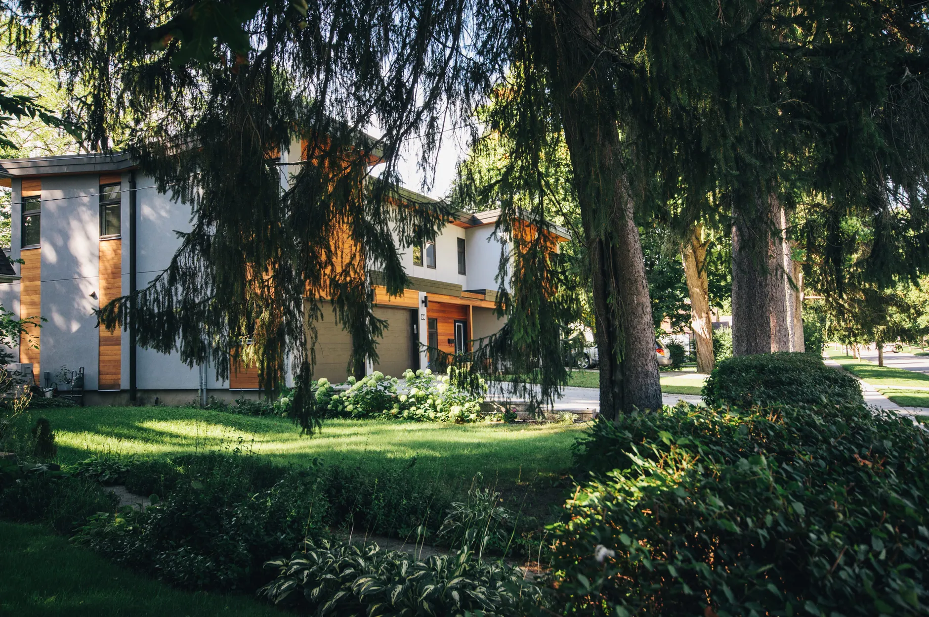 West Vancouver neighbours sue over ancient cedar tree cut without consent