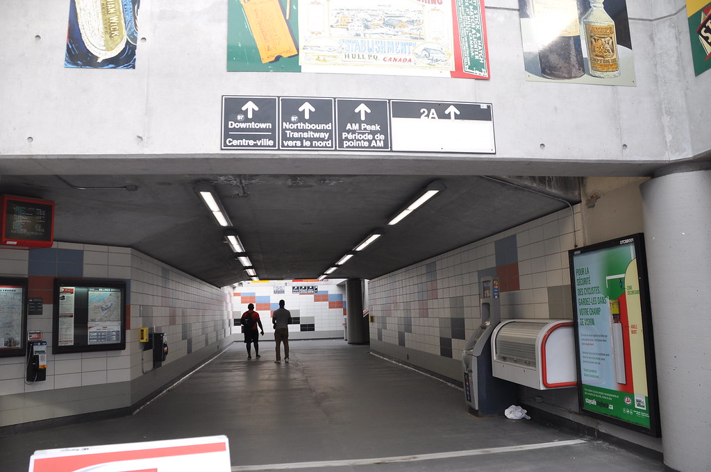 SoundScape Festival transforms Plaza Bridge underpass into immersive music venue