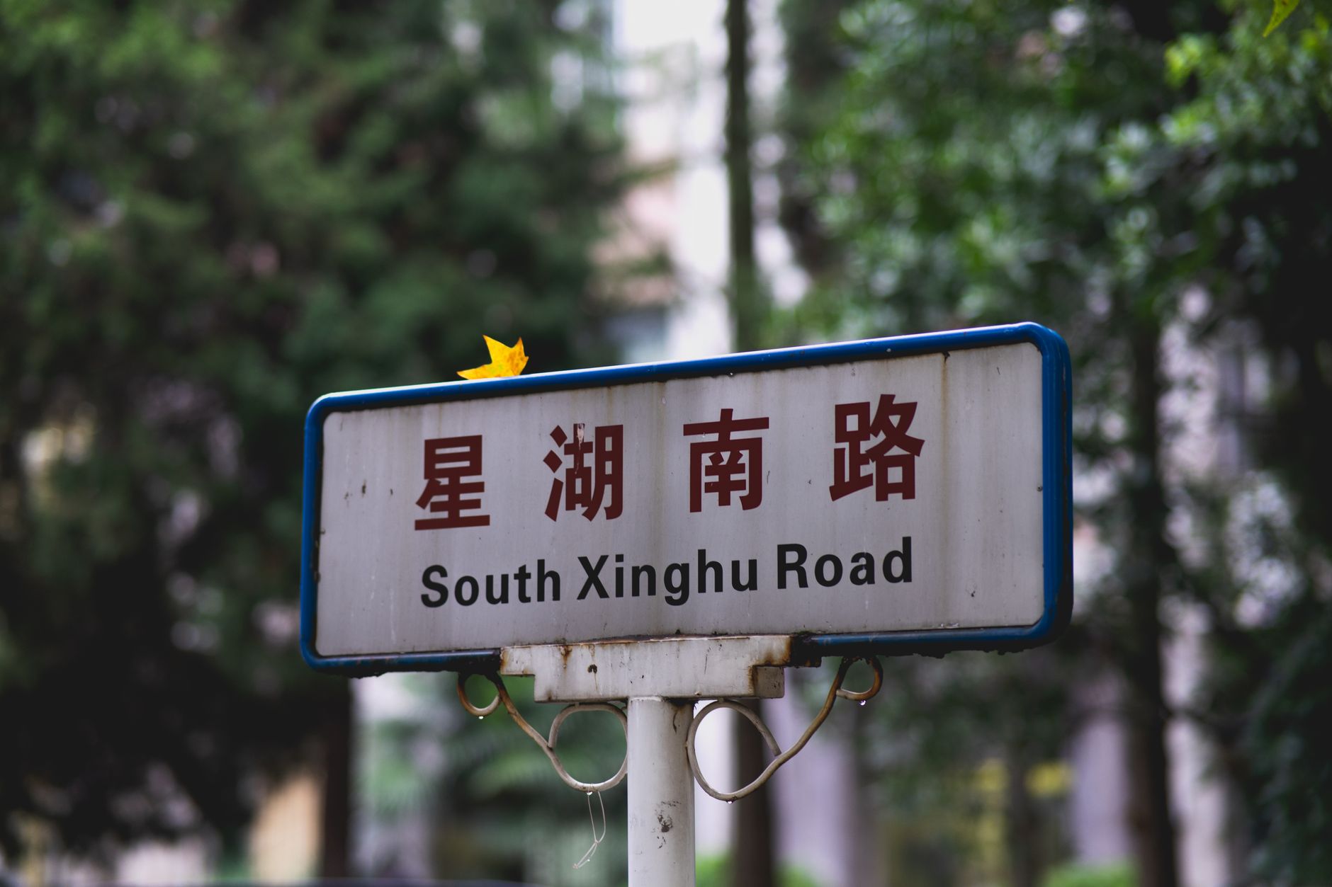 Richmond's Chinese speakers navigate multiple dialects within one community