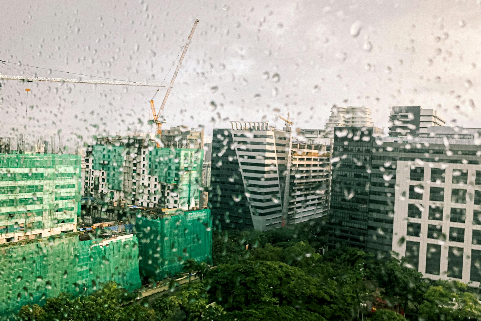 Light rain Thursday—grab a roof and settle in.