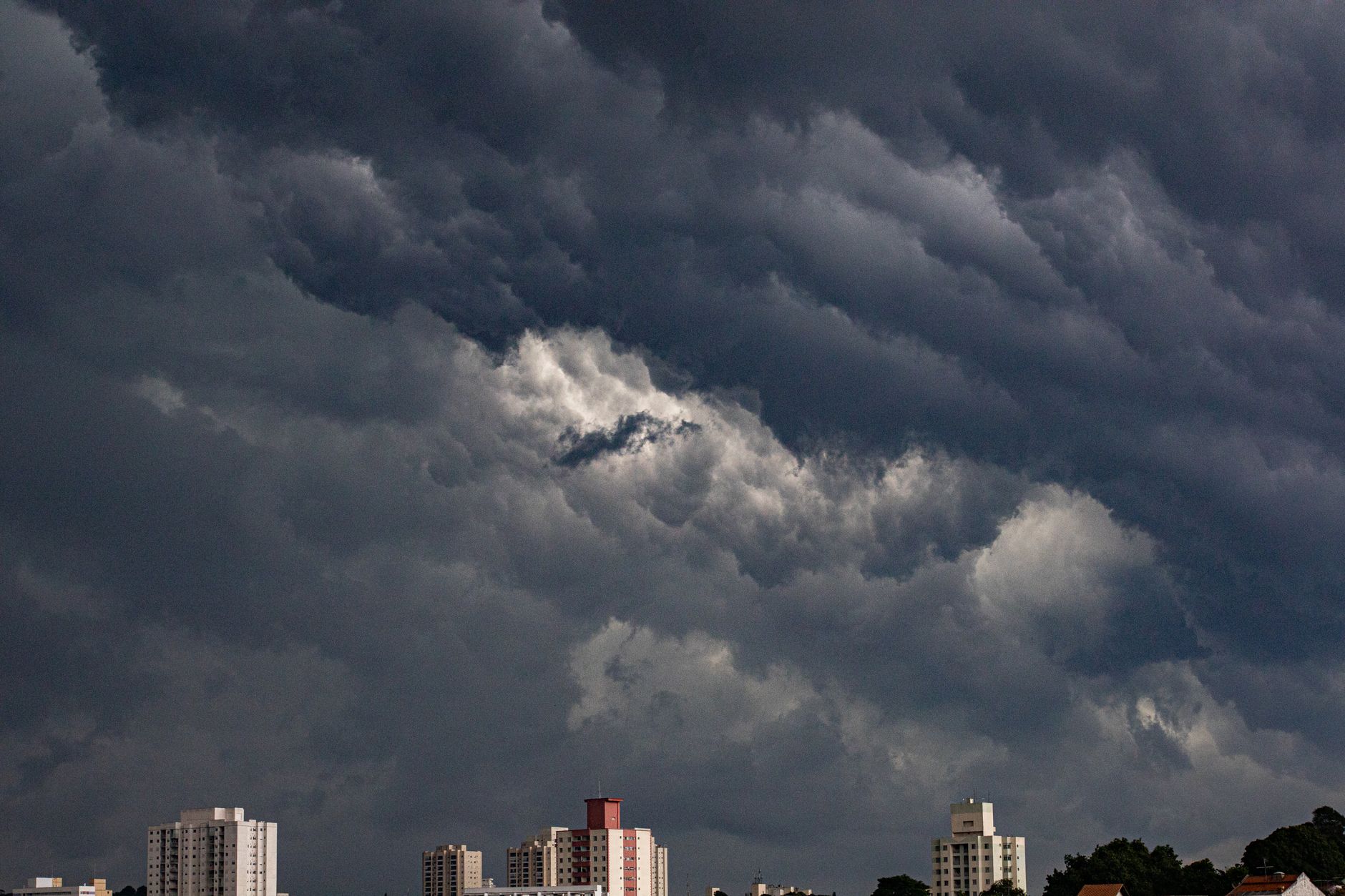 Storm's coming—catch the Jays before the sky breaks open