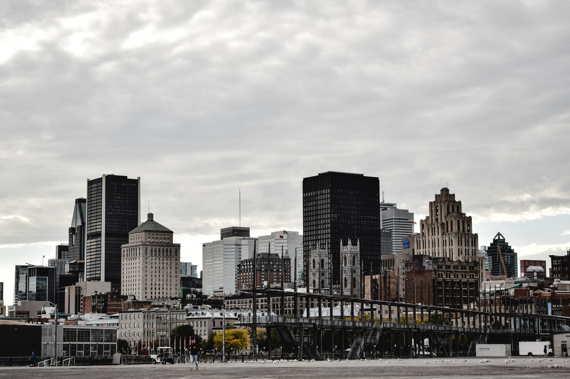 Friday's yours—Osheaga opens, Cirque's on the pier, pick your vibe.