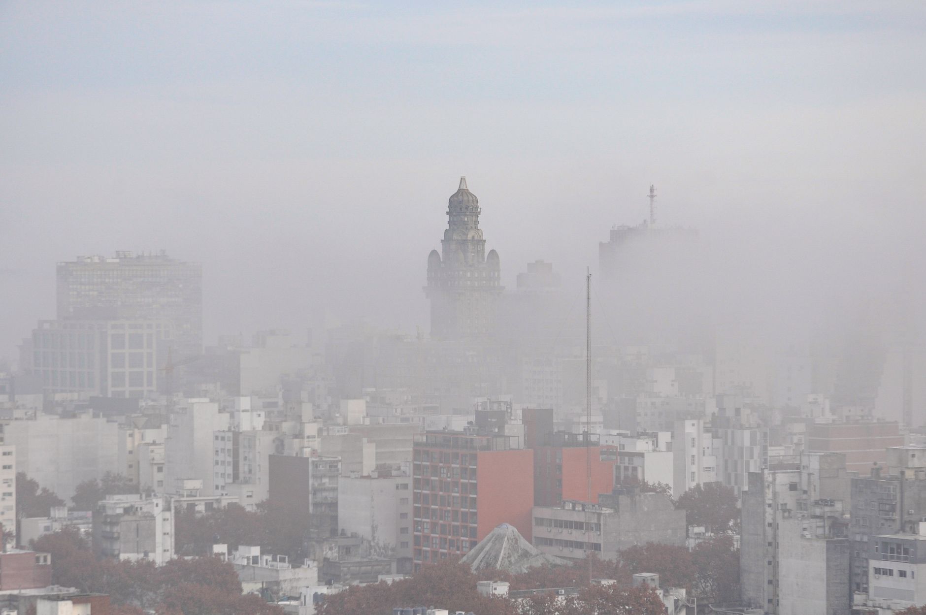 Friday hits 17°C—heat, fog, and Bluesfest to kick off the weekend.