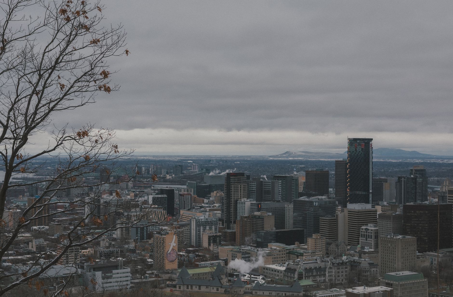 Wednesday's got heat, good vibes, and poutine—let's go