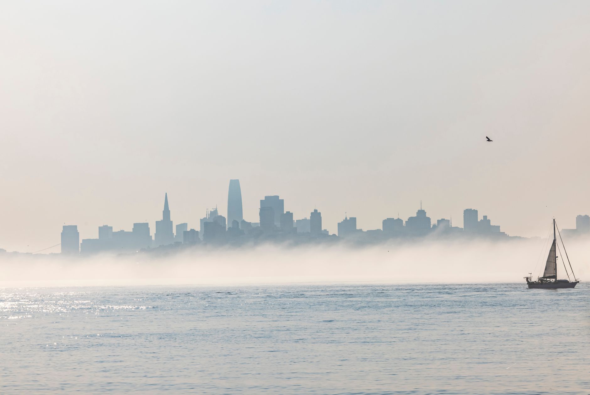 Shallow fog this morning—just layer up and get moving.