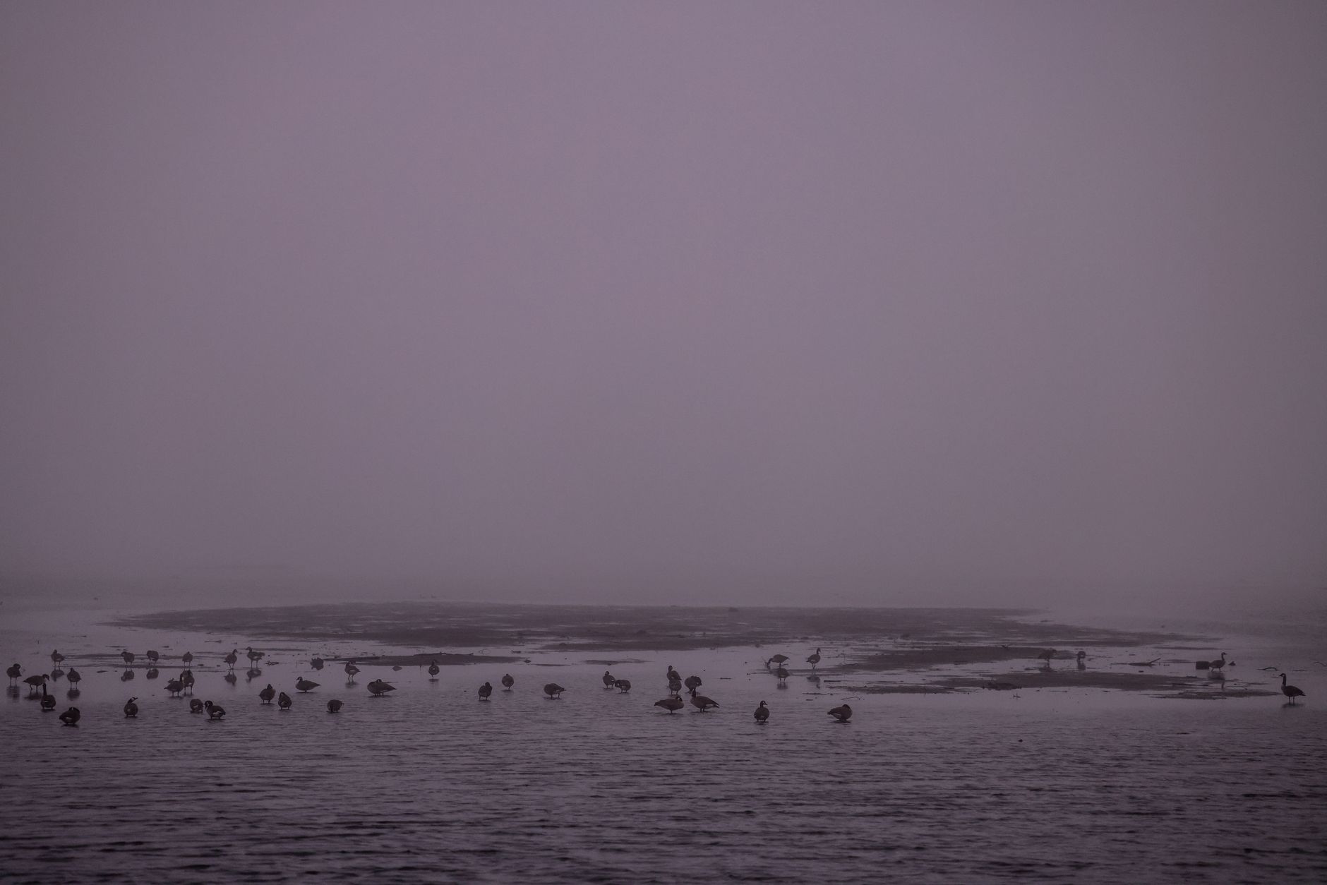 Foggy Tuesday, mild and long—soccer at sundown