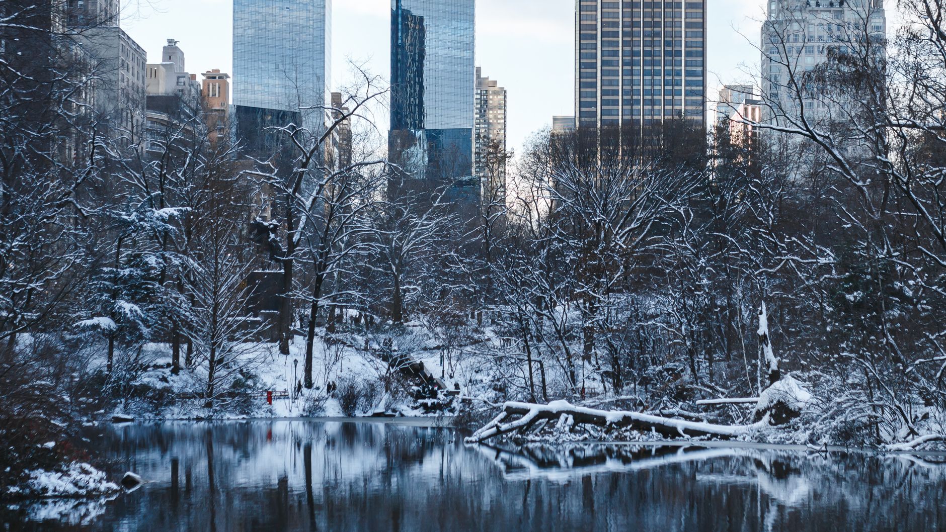 Snow Sunday — bundle up, catch some live music tonight